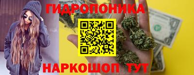 дмт Новокубанск