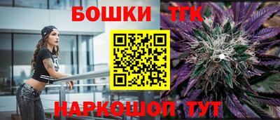 дмт Новокубанск