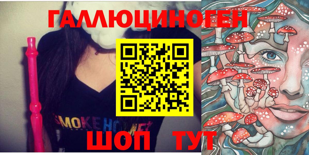 Псилоцибиновые грибы Psilocybine cubensis Советская Гавань
