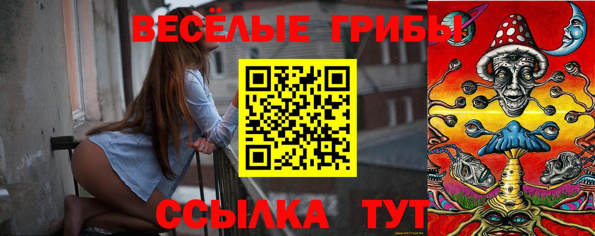 купить закладку  Псилоцибиновые грибы Cubensis  Вход с VPN  Советская Гавань 